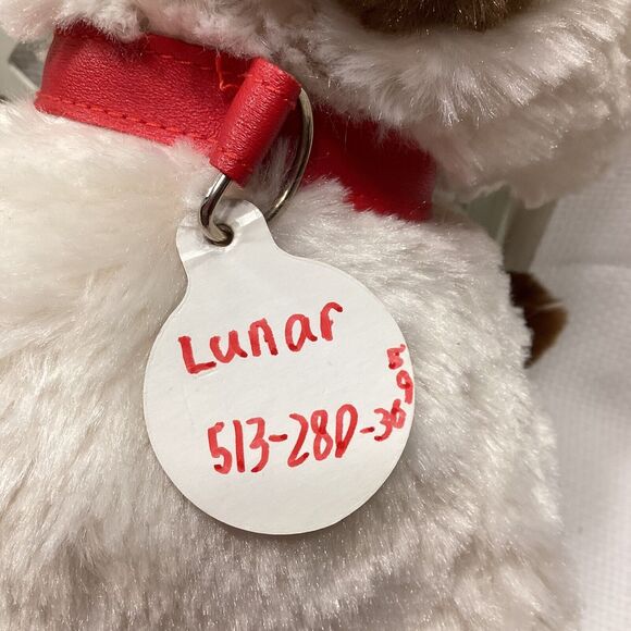 Promise Pets™ Ragdoll Kitty Build a Bear BaB 14" Plush Cat Kitten Plush Toy - Picture 6 of 11